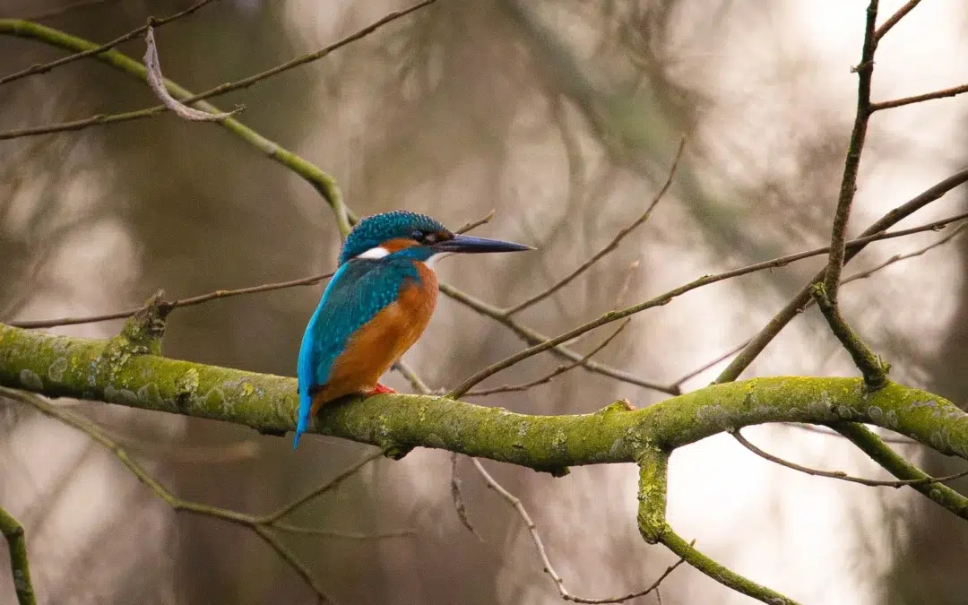 ‘Wat je ook doet, doe het mooi!’